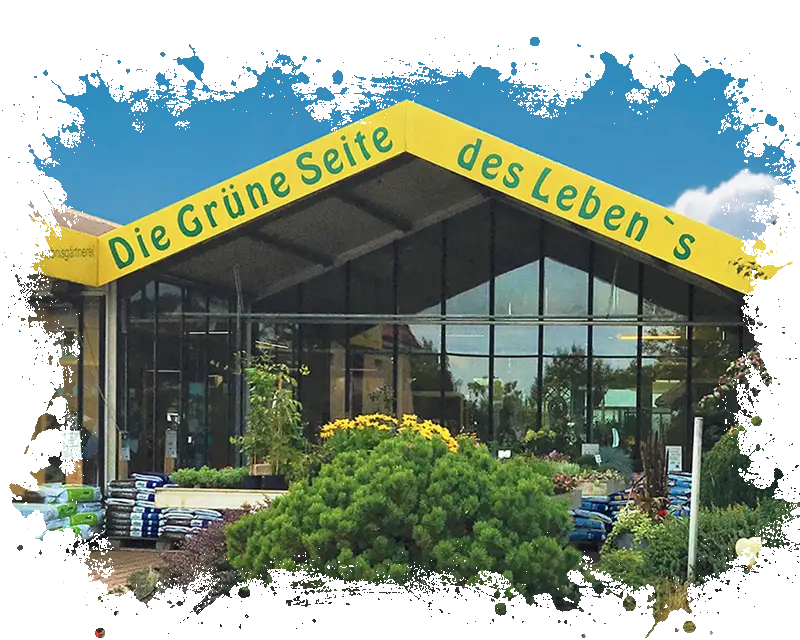 Blumenladen Nordhausen