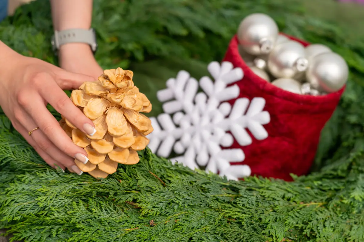 Blumenladen Nordhausen Trappe 13