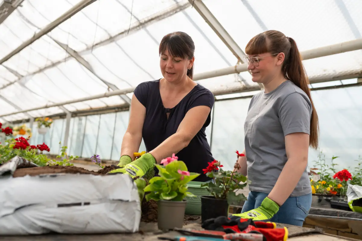 Blumenladen Nordhausen Trappe 27