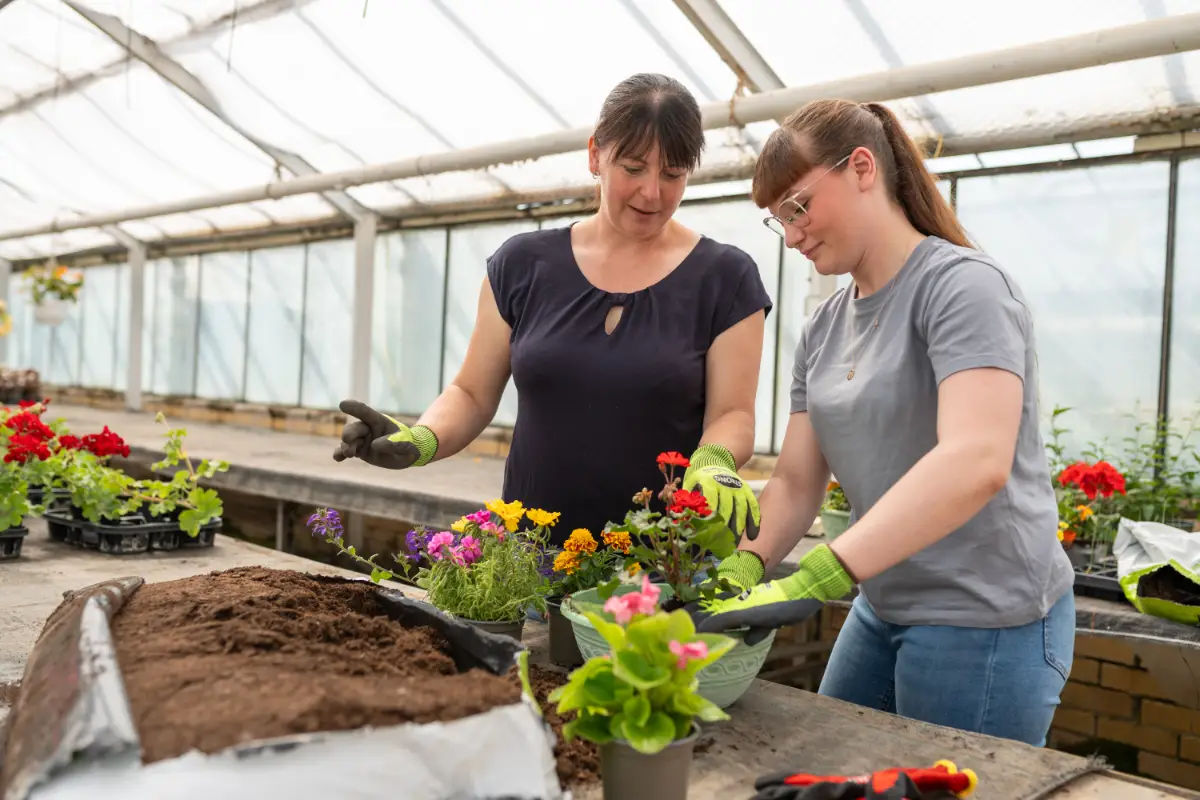 Blumenladen Nordhausen Trappe 28