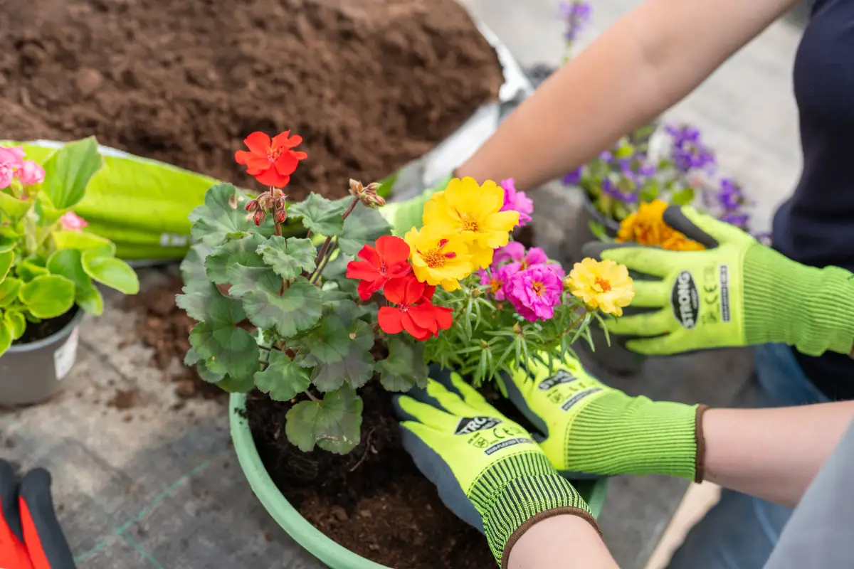 Blumenladen Nordhausen Trappe 30