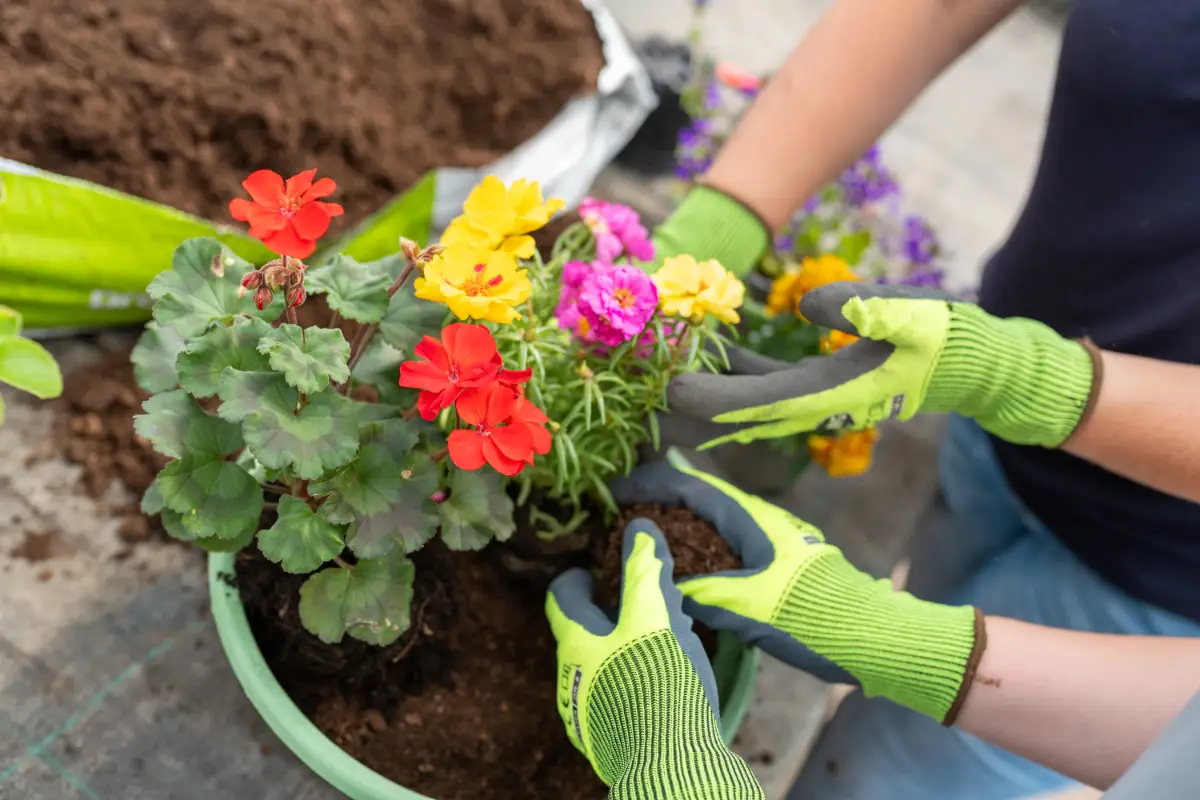 Blumenladen Nordhausen Trappe 31