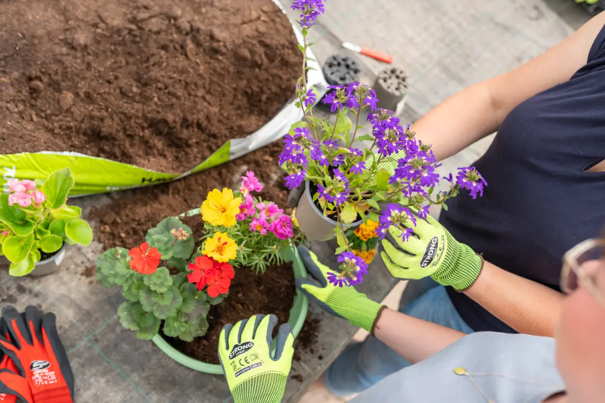 Blumenladen Nordhausen Trappe 32