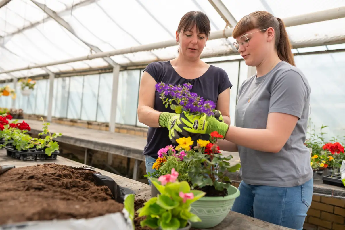 Blumenladen Nordhausen Trappe 33