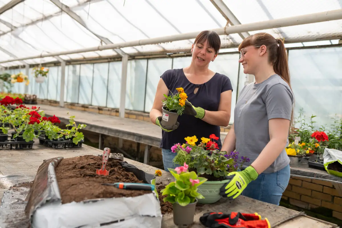 Blumenladen Nordhausen Trappe 37