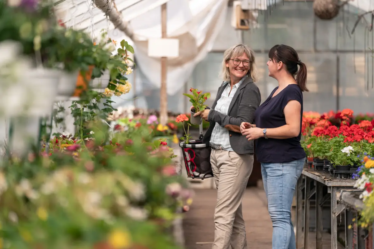 Blumenladen Nordhausen Trappe 4