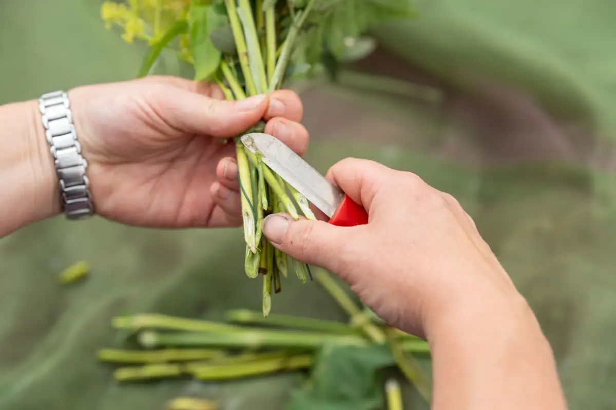 Blumenladen Nordhausen Trappe 45