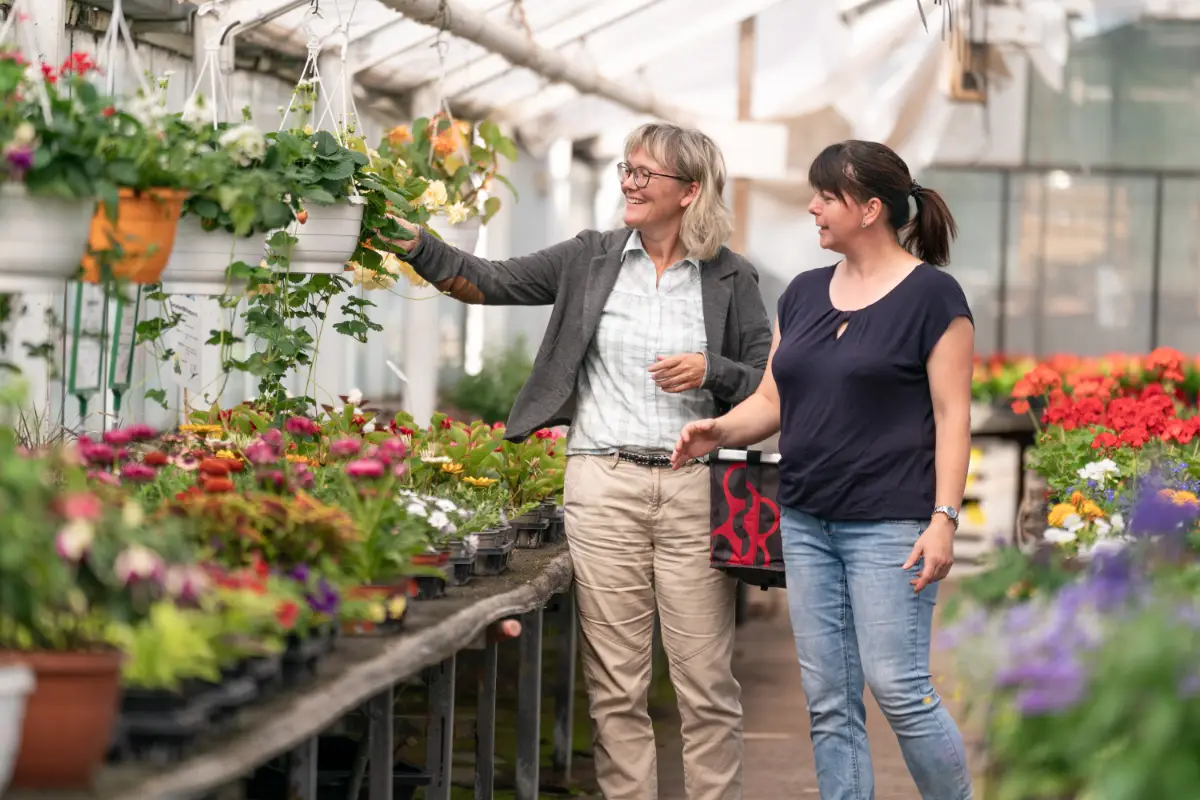 Blumenladen Nordhausen Trappe 5