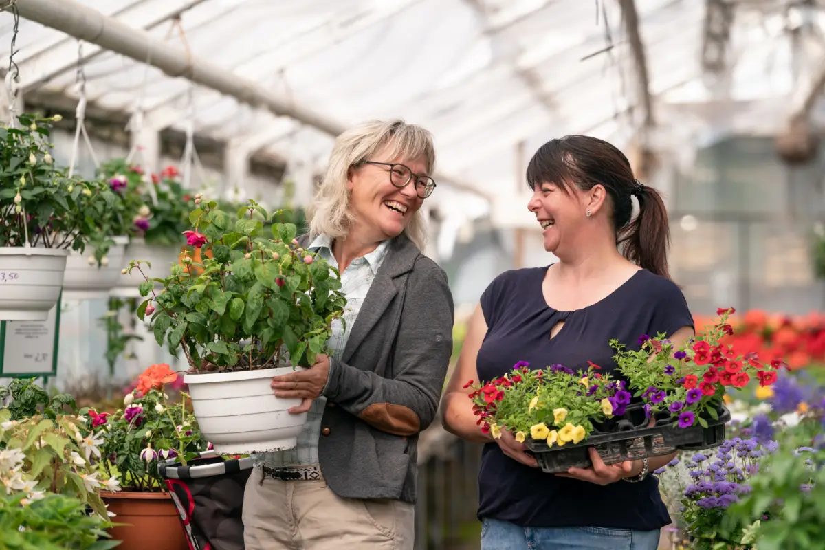 Blumenladen Nordhausen Trappe 6