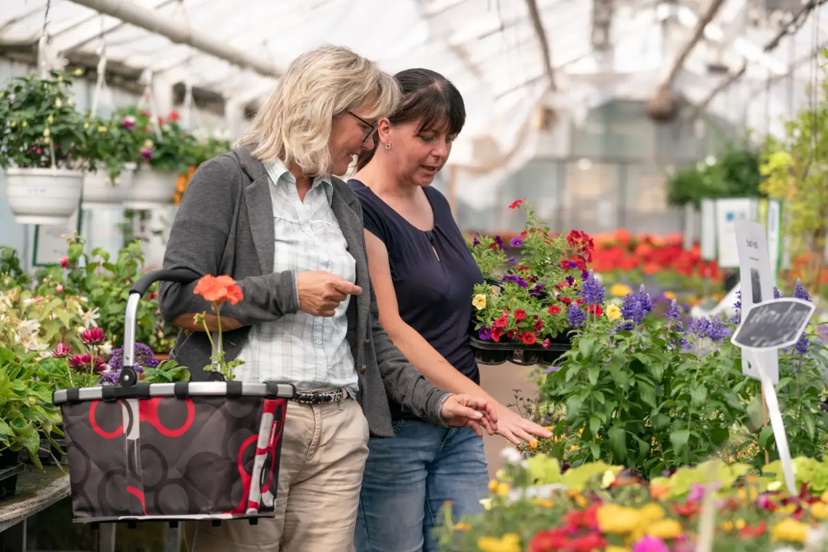 Blumenladen Nordhausen Trappe 7