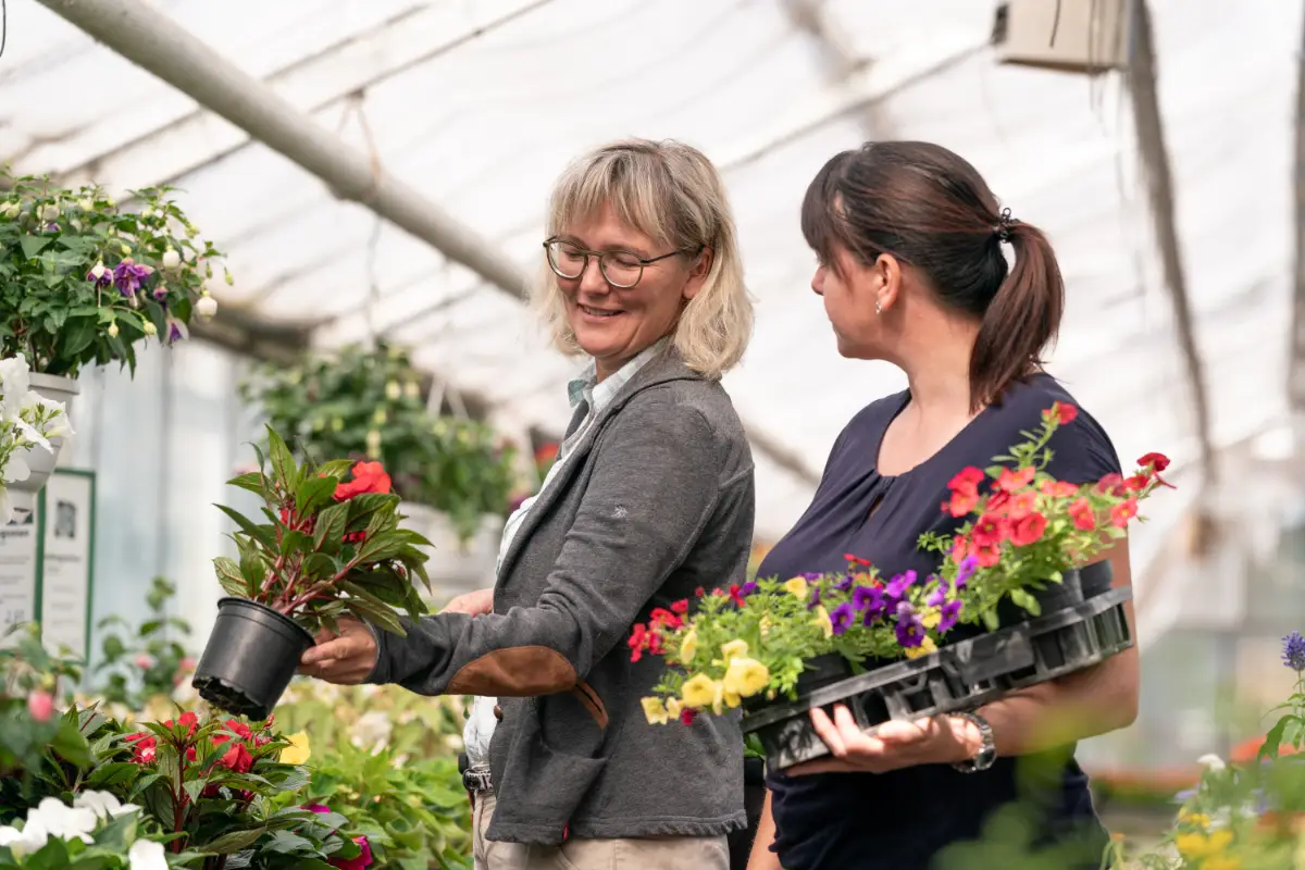 Blumenladen Nordhausen Trappe 8