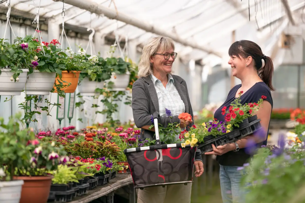 Blumenladen Nordhausen Trappe 9